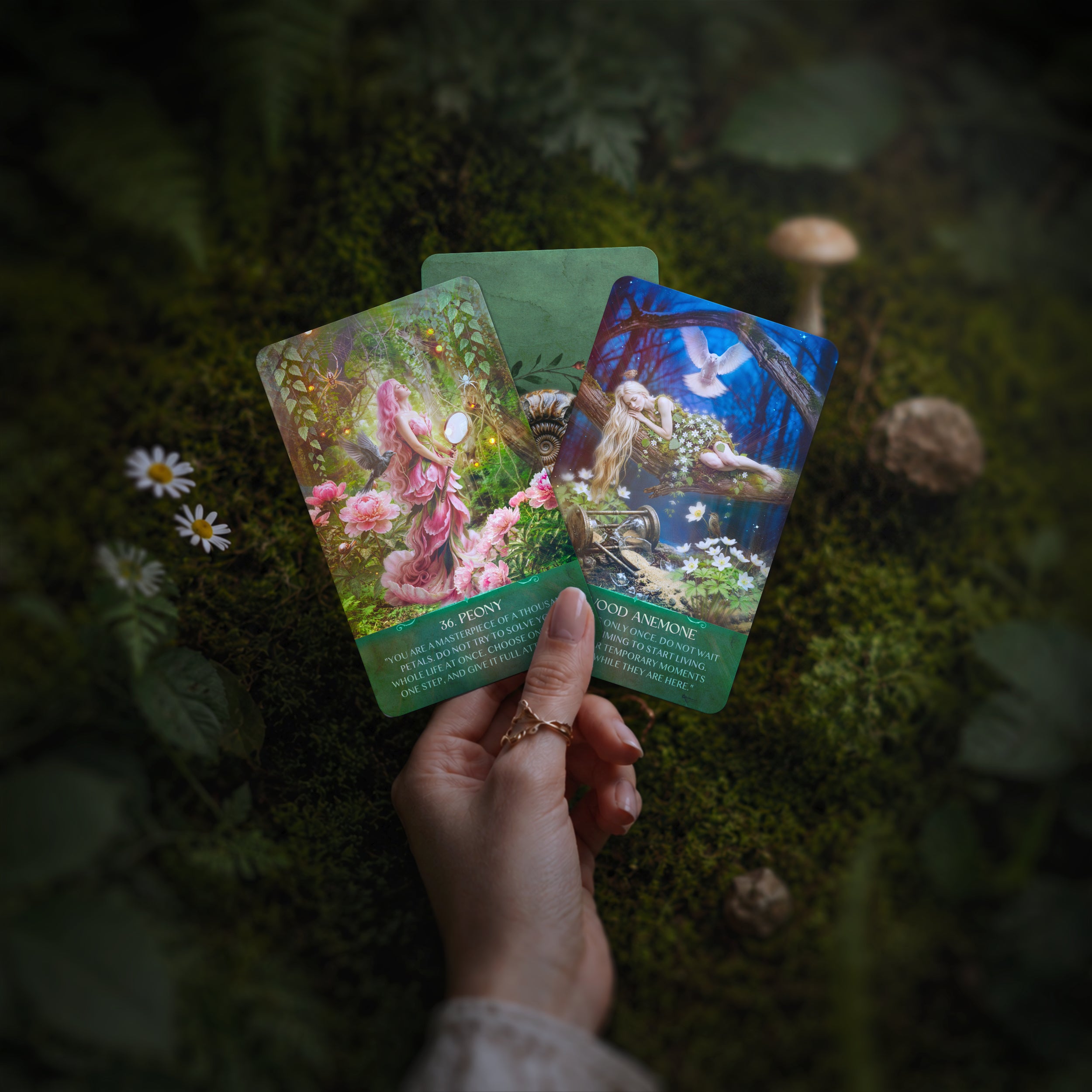 Hand holding three colorful Enchanted by Nature oracle cards on a mossy surface with flowers and mushrooms.