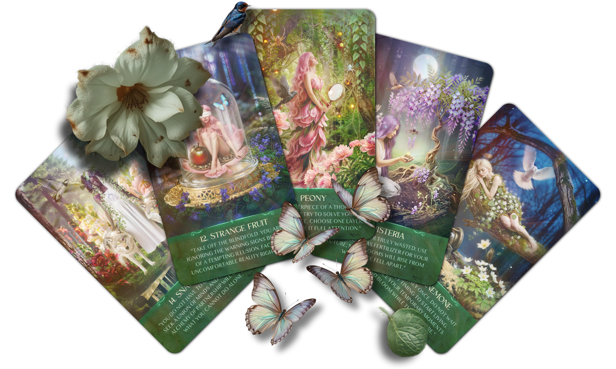 Set of Enchanted by Nature oracle cards with fairy-themed illustrations on a white background